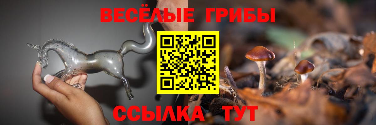 как найти закладки  Галлюциногенные грибы прущие грибы  Вход с VPN  Псилоцибиновые грибы GOLDEN TEACHER  Улан-Удэ 